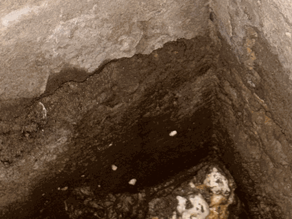 Flectra - Sample 3 for three columns