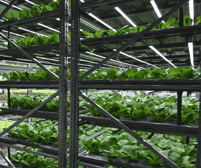 Flectra text and image block