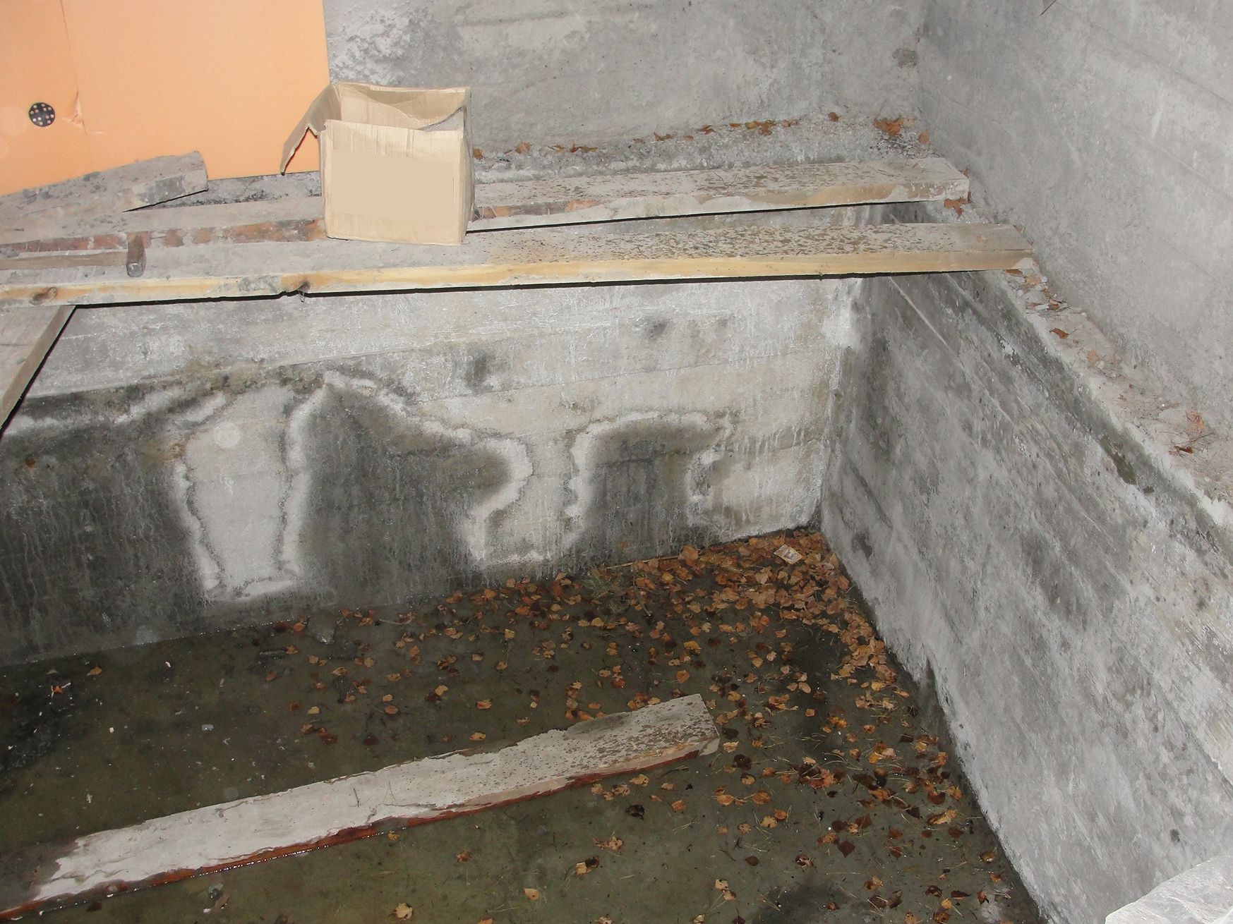 Flectra text and image block